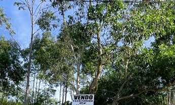 Imagem: Lote 473m² região alta de Jardim América