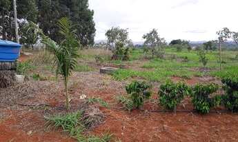 Imagem 5: Fazendinhas de 20.000m2 prontas com entrada de R$88.000,00 + Parcelas