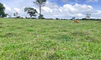Imagem 6: Fazenda de 34 alqueires região de Goianápolis Goiás