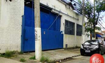 Imagem: São Paulo - Galpão/Depósito/Armazém