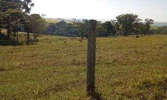 Imagem 6: Sítio 15 Alqueires