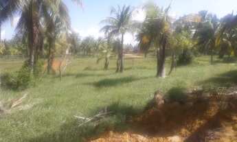 Imagem 3: Terreno Terreno / lote com venda por R$25