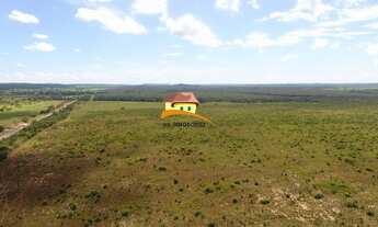 Imagem 7: Fazenda para Venda, Região produtora em expansão