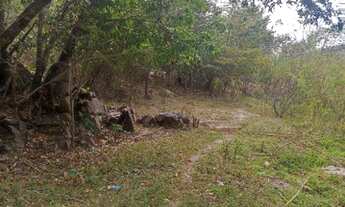 Imagem 3: Chácaras parcelada em Jandaia - GO