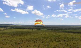 Imagem 6: Fazenda para Venda, Região produtora em expansão