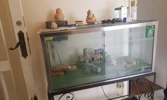 Imagem 4: Casa à venda em São Paulo