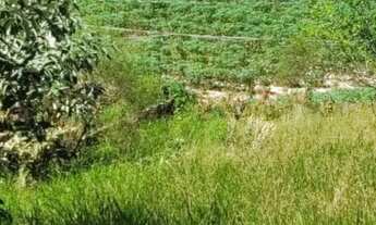 Imagem: Terreno 500m Indaiatuba SP - Chacaras