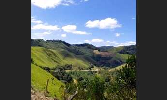 Imagem 5: Terreno Área rural, com plantação de Pocan