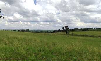 Imagem: Sitio Monte Aprazivel 8 alqueires, 7 plnata