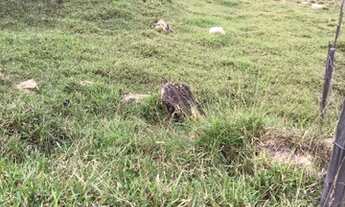 Imagem 4: Lote Terreno / lote com venda por R$30.000