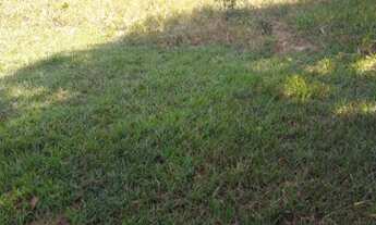 Imagem 6: Fazenda de 110 hectares. Plana. Divisa Rio Aquidauana - Corguinho - MS