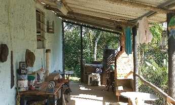 Imagem 6: Ótima Chacara 6Mil Metros2 - 170mil - À Vista - Aceita Proposta - Com Escritura