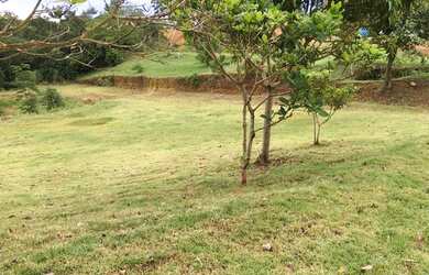 Imagem 5: VENDE-SE CHÁCARA