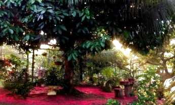 Imagem 5: Lindo sítio com 5.700m² no Litoral Norte - Barra do Pojuca