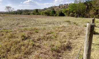 Imagem 4: Chácaras de 3 hectares em varjão a 55 km de Goiânia !