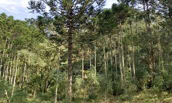 Imagem 4: Terreno de 6 hectare em Urubici