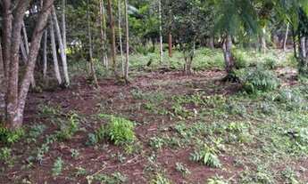 Imagem 3: Vendo terreno em Belterra