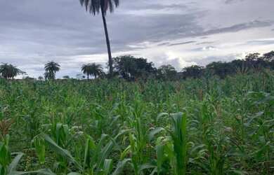 Imagem 4: Lindo baixadão de 20 mil metros (Temos varias opções)