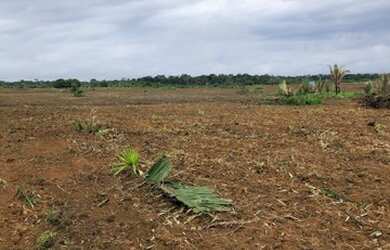 Imagem 3: Vendo sítio de 42 alqueires