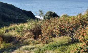 Imagem 6: VENDO EXCELENTES TERRENOS EM PRAIA DAS FOCAS - BÚZIUS