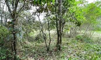 Imagem 4: Lote em Antonina PR