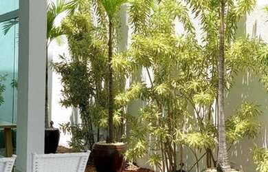 Imagem 6: Casa 4 Dormitórios à venda 440 m² - Alphaville II - Salvador/BA