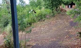 Imagem 5: Chácara pertinho do centro de Rolante RS