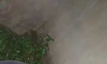 Imagem 3: Casa barata Casa com 1 dormitório