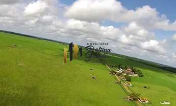 Imagem 2: Vendo Fazenda Prox. de Castanhal 1.163,5657 hà