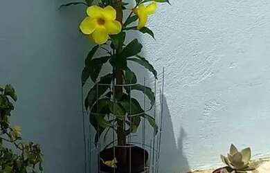 Imagem 3: Casa a venda em ELDORADO DO SUL