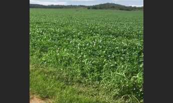 Imagem: Vende-se uma excelente fazenda de 666 hectares