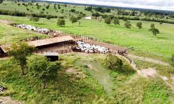 Imagem: Excelente Fazenda, total 793,76 hectares