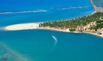 Imagem: Oportunidade - Altavistta - 850 m²