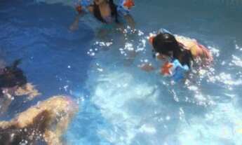 Imagem 6: Apartamento 3 dormitórios, varanda, 1 suíte 1 vaga - 70 metros