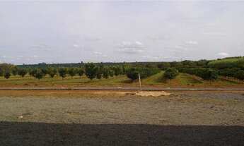 Imagem 5: Venda de Comercial / Barracão na cidade de ARTUR NOGUEIRA