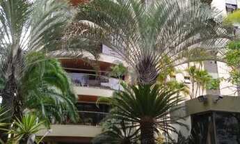 Imagem: Apartamento - Cambuí - Campinas