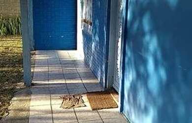 Imagem 5: Cidreira - Casa Padrão - Ildo Meneghetti