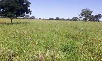 Imagem 4: Vende-se uma excelente fazenda de 666 hectares