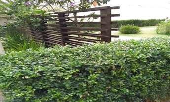 Imagem 4: Apartamento à venda em Vila Antonieta