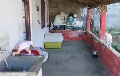 Imagem 7: Casa 2 dormitórios no Parque dos Pinheiros em Piracaia - SP