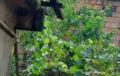 Imagem 5: Casa no parque São Pedro