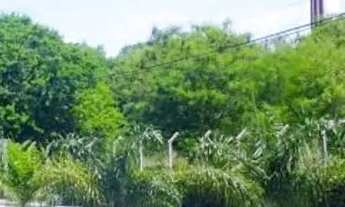 Imagem: VENDO OPORTUNIDADE DE MORAR NA CASA DOS