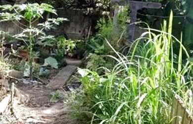 Imagem 5: Casa com excelente custo-benefício no Bairro Morro da Bina em Biguaçu - SC