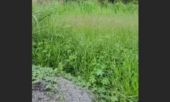 Imagem 3: Lote 578m² Faiçalvile vista permanente