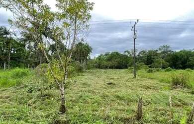 Imagem 6: Lote em Antonina PR