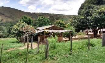 Imagem 7: FAZENDA A VENDA OLHOS DAGUA MINAS GERAIS