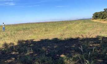 Imagem 2: Fazenda sentido Leopoldo Bulhões na GO330