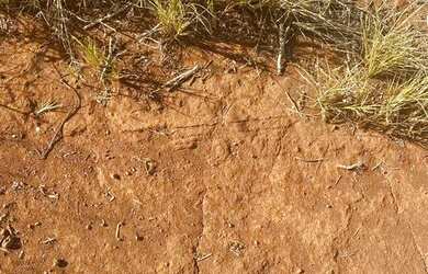 Imagem 5: Fazenda sentido Leopoldo Bulhões na GO330