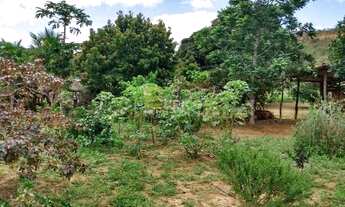 Imagem 6: FAZENDA A VENDA OLHOS DAGUA MINAS GERAIS