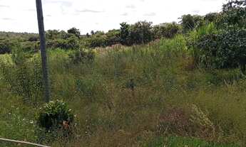 Imagem 5: Sitio 29 Hectares, Região Jequitaí,Aceita Veículo e imóvel.